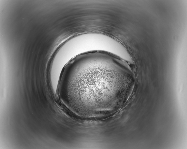 X0000086980242200704301323