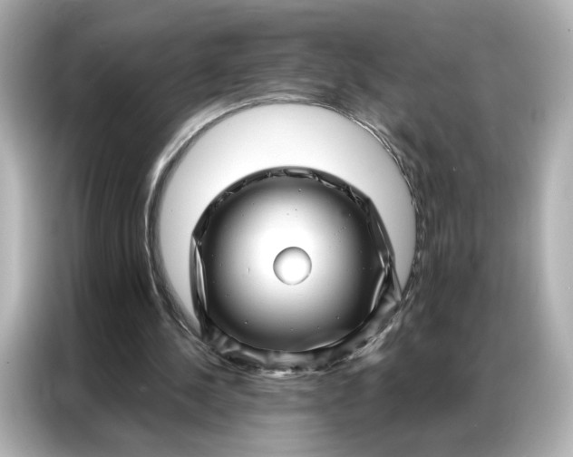 X0000086980244200704301323