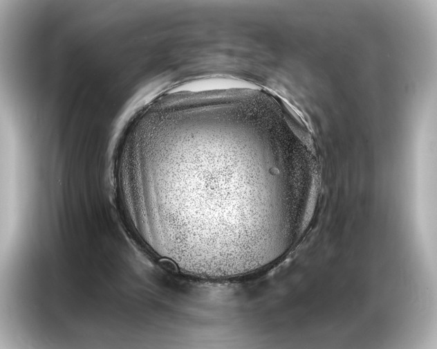 X0000086980245200704301323