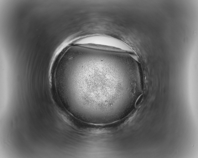 X0000086980246200704301323