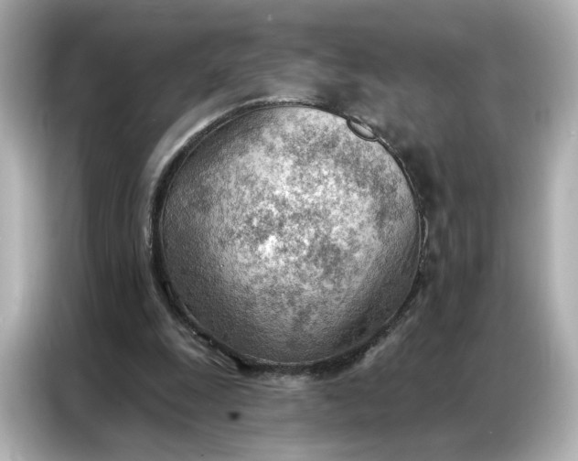 X0000086980247200704301323