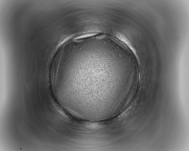 X0000086980249200704301323