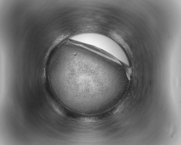 X0000086980250200704301323