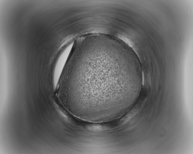 X0000086980253200704301323