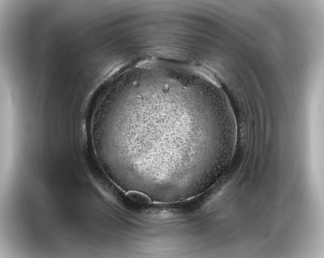 X0000086980254200704301323