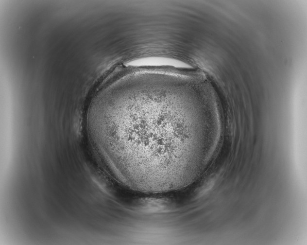 X0000086980255200704301323