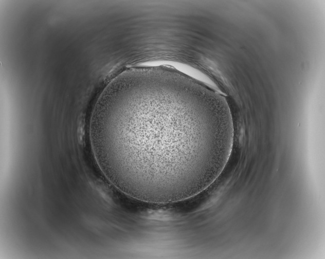 X0000086980259200704301323