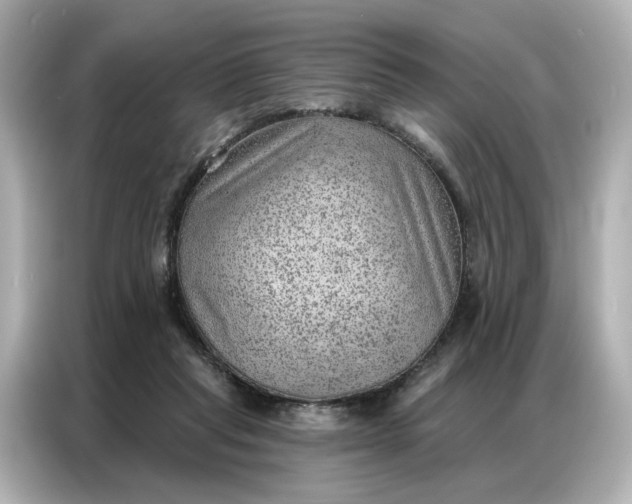 X0000086980261200704301323