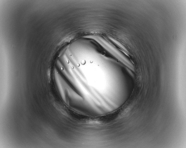 X0000086980262200704301323