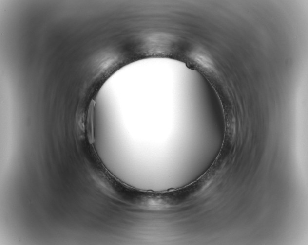 X0000086980264200704301323