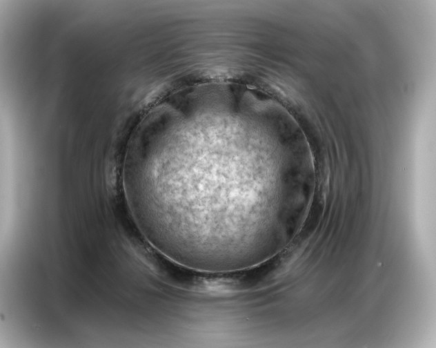 X0000086980268200704301323