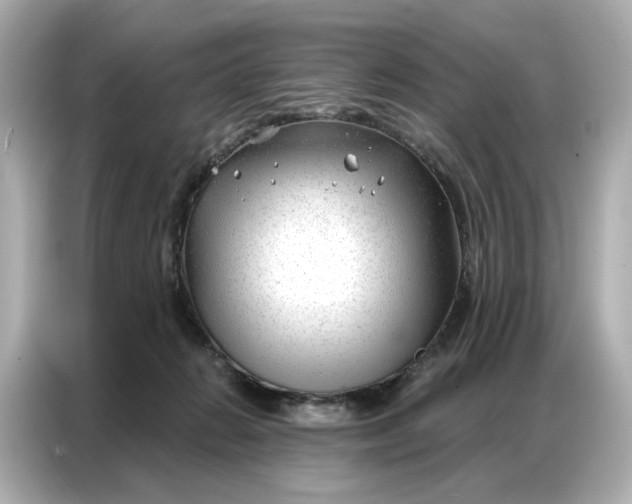 X0000086980270200704301323