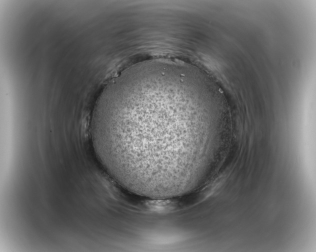 X0000086980273200704301323