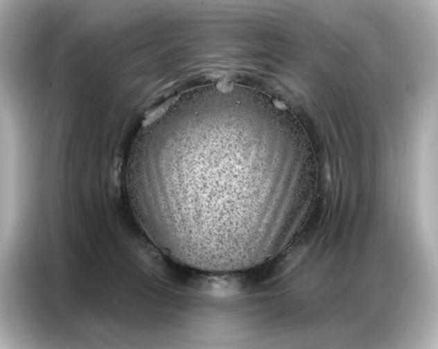 X0000086980275200704301323