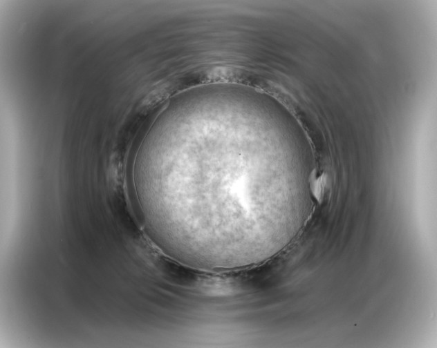 X0000086980276200704301323