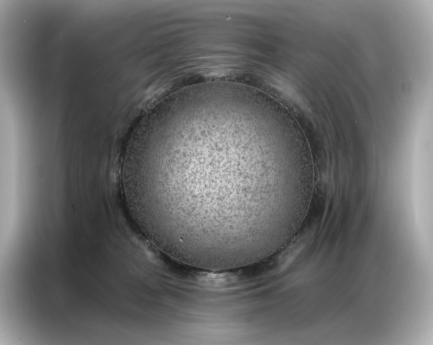 X0000086980277200704301324