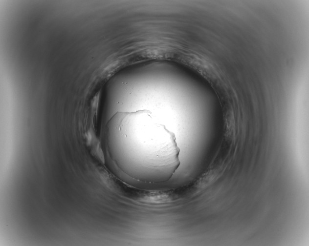 X0000086980278200704301324