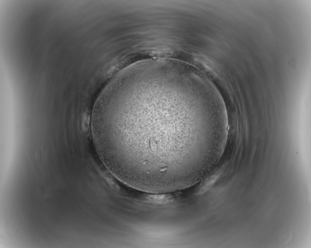 X0000086980281200704301324