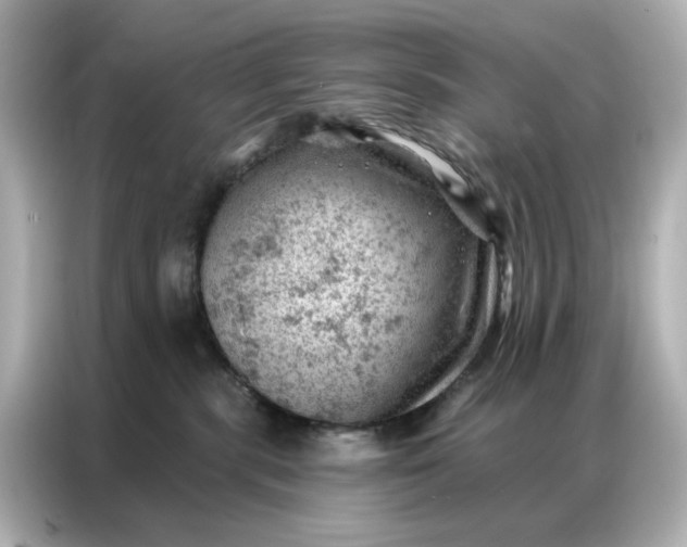 X0000086980283200704301324