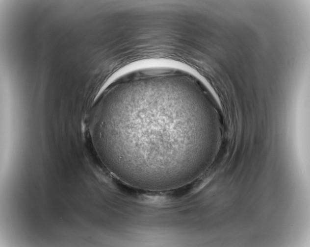 X0000086980284200704301324