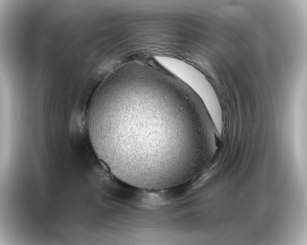 X0000086980285200704301324