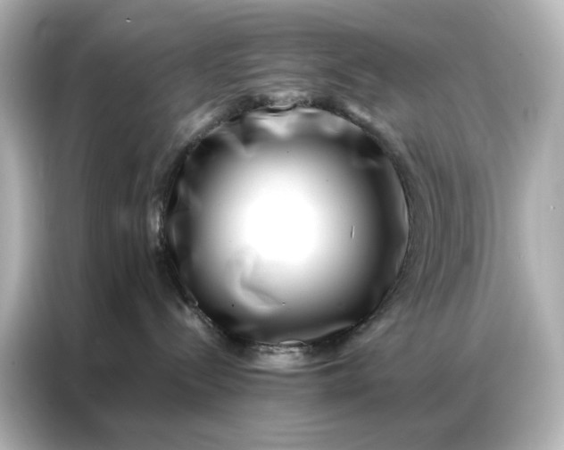 X0000086980288200704301324