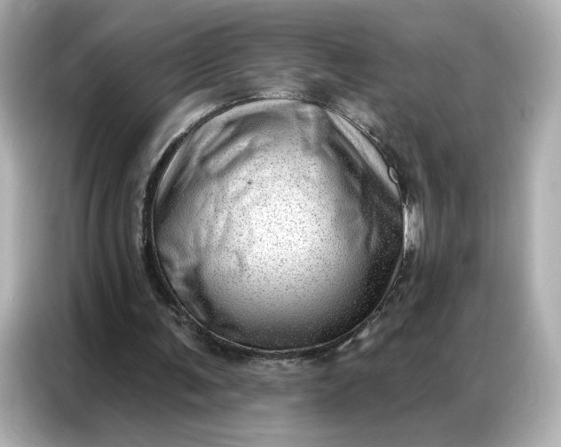 X0000086980291200704301323