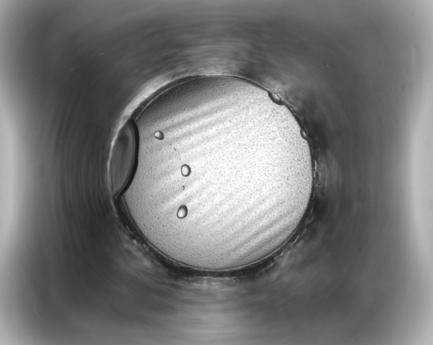 X0000086980292200704301323