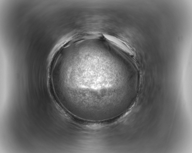 X0000086980293200704301323