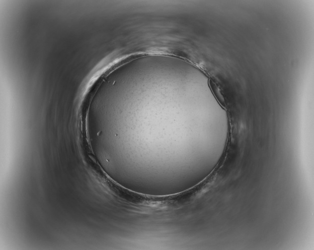 X0000086980295200704301323