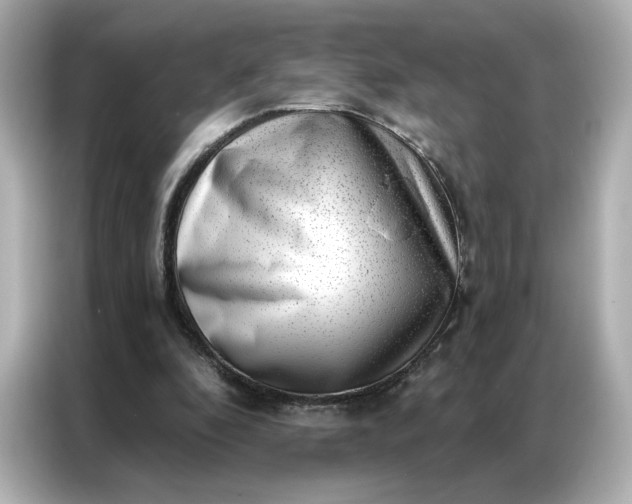 X0000086980296200704301323