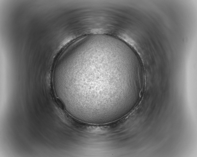 X0000086980297200704301323