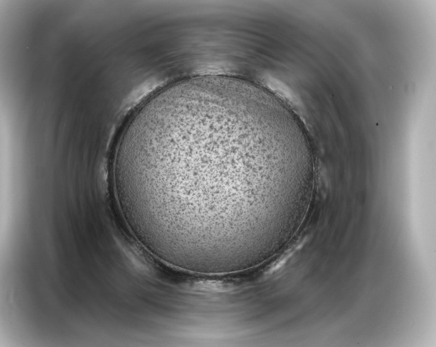 X0000086980298200704301323