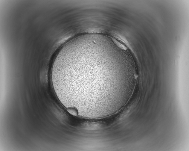 X0000086980299200704301323