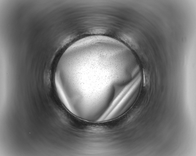 X0000086980300200704301323