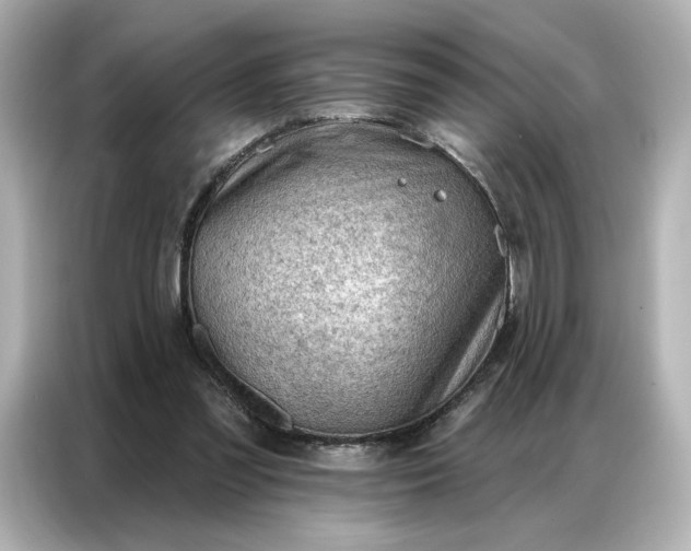 X0000086980301200704301323