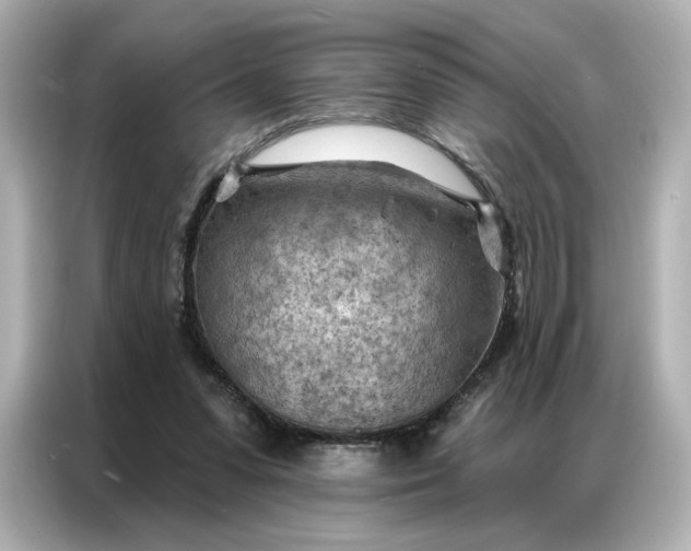 X0000086980303200704301323