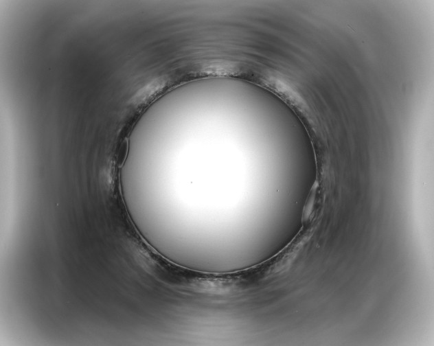 X0000086980305200704301323