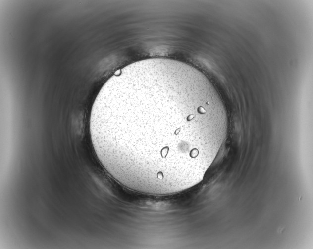 X0000086980311200704301323