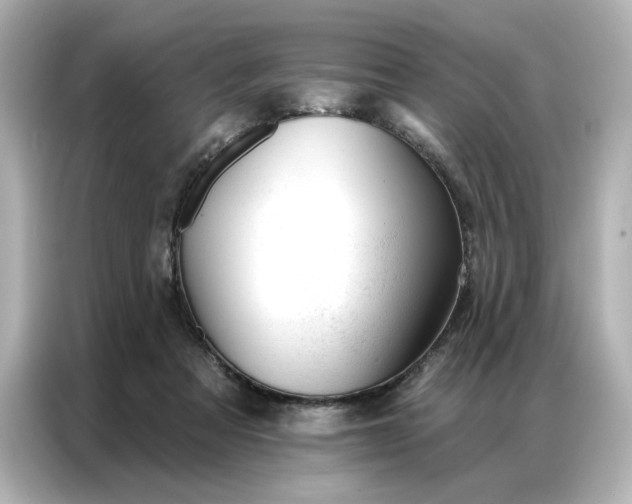 X0000086980313200704301323