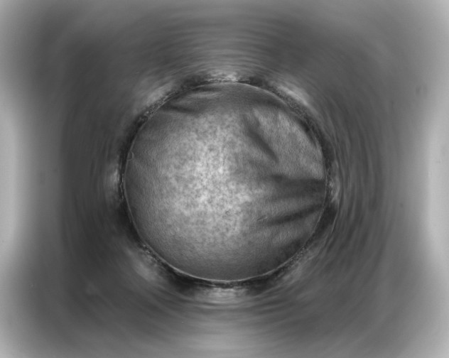 X0000086980314200704301323