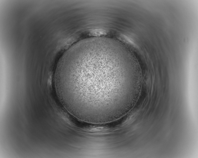 X0000086980315200704301323