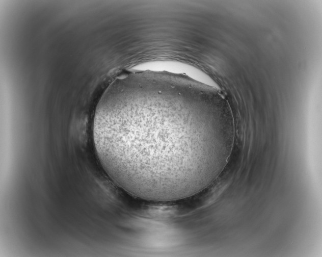 X0000086980319200704301323