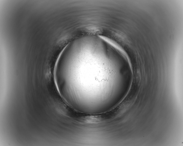 X0000086980320200704301323