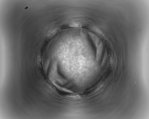 X0000086980322200704301323