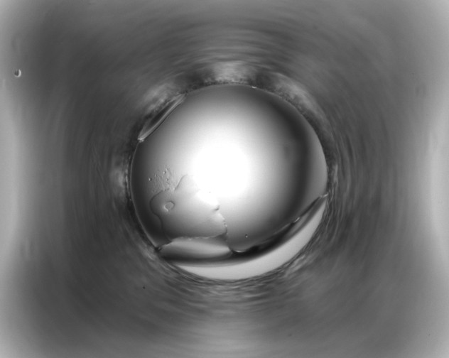 X0000086980329200704301323