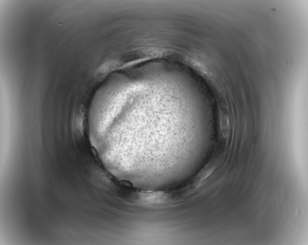 X0000086980334200704301322