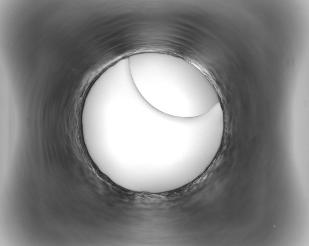 X0000086980337200704301322