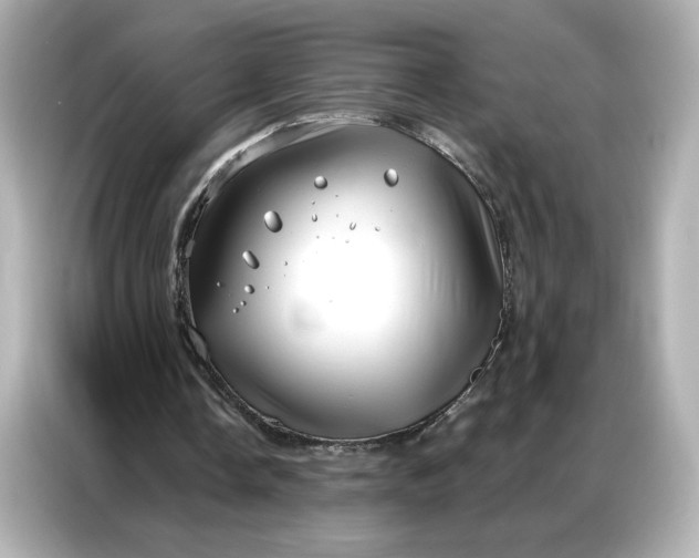 X0000086980338200704301322