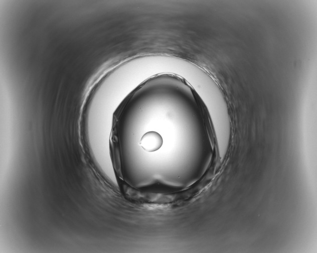 X0000086980340200704301322